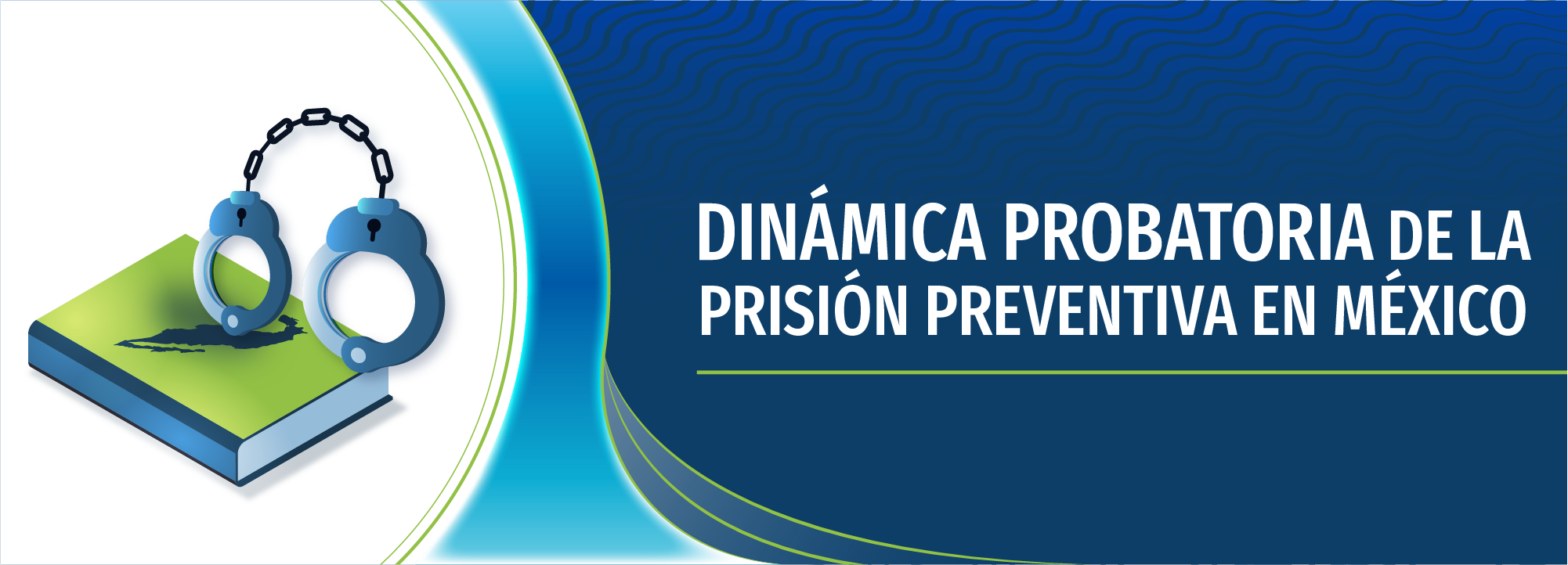 Dinámica probatoria de la prisión preventiva en México IEJ-0002